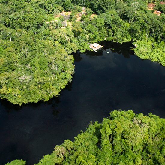 Amazonas